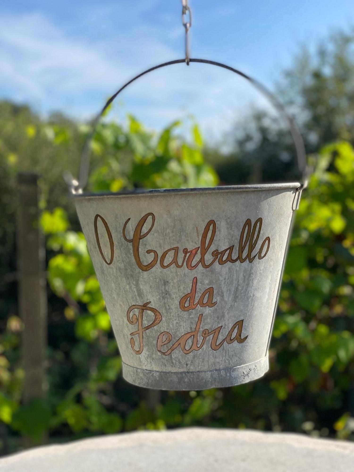 Casa Rural O Carballo Da Pedra La Caniza Dış mekan fotoğraf