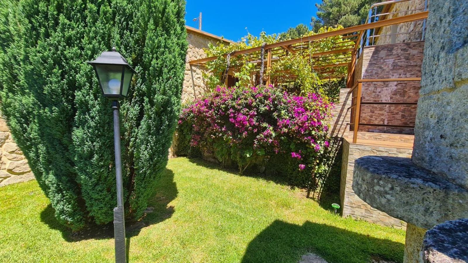 Casa Rural O Carballo Da Pedra La Caniza Dış mekan fotoğraf