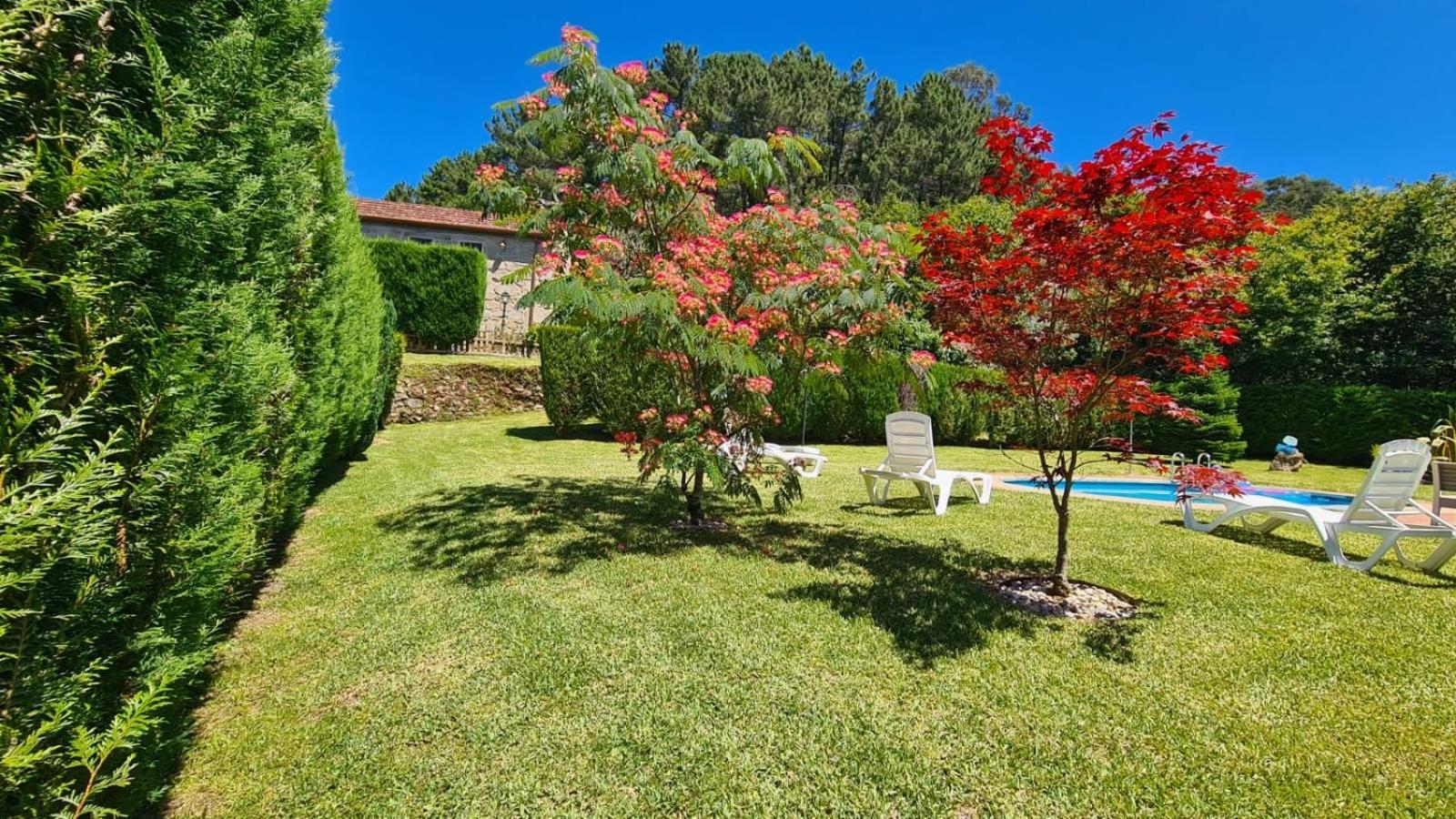 Casa Rural O Carballo Da Pedra La Caniza Dış mekan fotoğraf